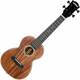 Cascha HH2310 Koncertne ukulele Natural