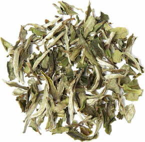 Tea exclusive Bio Pai Mu Tan beli čaj - 100 g
