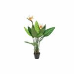 NEW Dekorativna rastlina DKD Home Decor (80 x 80 x 120 cm)