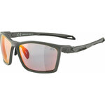 Alpina Twist Five QV Moon/Grey Matt/Rainbow Športna očala