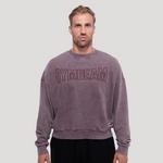 GymBeam Moški pulover Persistence Washed rjav