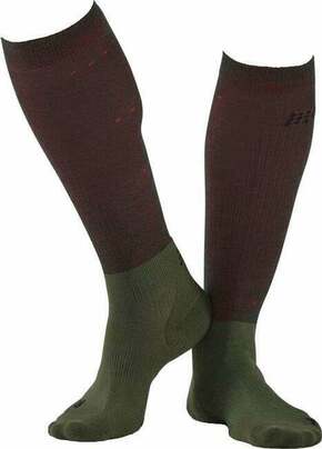 CEP WP30T Recovery Tall Socks Men Forest Night V Tekaške nogavice