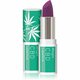 Dermacol Cannabis Magic CBD pH balzam za ustnice s prilagodljivo barvo odtenek 07 3.5 ml