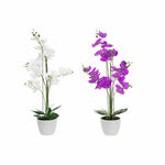 NEW Dekorativno cvetje DKD Home Decor 44 x 27 x 77 cm Lila Bela Zelena Orhideja (2 kosov)