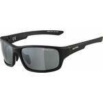 Alpina Lyron S Black Matt/Black Športna očala