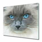 tulup.si Steklena podloga za rezanje Mačje modre oči 60x52 cm