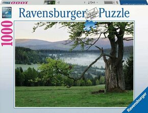 WEBHIDDENBRAND Ravensburger Puzzle Češka zbirka - Šumava 1000 kosov
