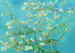 ENJOY Puzzle Vincent Van Gogh: Veja mandljevega drevesa 1000 kosov