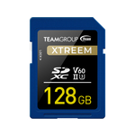 TeamGroup SDXC 128GB spominska kartica