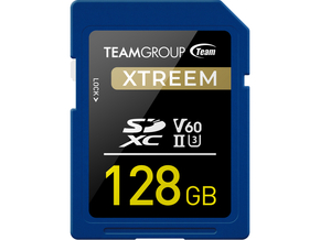 TeamGroup SDXC 128GB spominska kartica