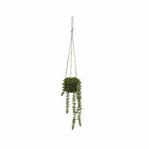 Umetna rastlina (višina 37 cm) Senecio – Casa Selección