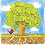 Goki drevo – razvojna večplastna sestavljanka