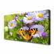 tulup.si Slika na platnu Rastlina cveti butterfly narava 125x50 cm