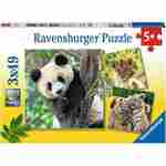 RAVENSBURGER sestavljanka Panda, lev, tiger 3x49 delov