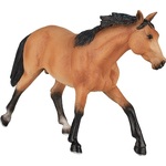 Mojo Kôň plavák