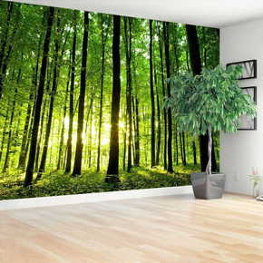 Tulup.si Fototapeta Green forest 250x104cm Netkani freski