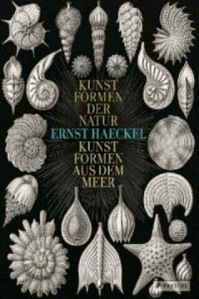 WEBHIDDENBRAND Ernst Haeckel