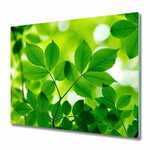 tulup.si Steklena podloga za rezanje Zeleni listi 2x30x52 cm