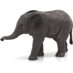 Mojo Slon africký sloník