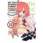 WEBHIDDENBRAND My Youth Romantic Comedy Is Wrong, As I Expected, Vol. 13 (light novel)