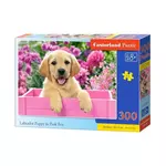 WEBHIDDENBRAND CASTORLAND Puzzle Labrador v roza škatli 300 kosov