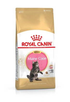 Royal Canin FBN MAINE COON KITTEN 2Kg