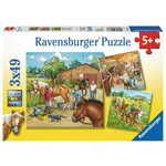 WEBHIDDENBRAND RAVENSBURGER Dan na konju Puzzle 3x49 kosov