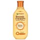 Garnier šampon za zelo poškodovane lase Botanic Therapy, 250 ml