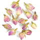 Zeliščni čaj s cvetnimi listi vrtnic - 50 g