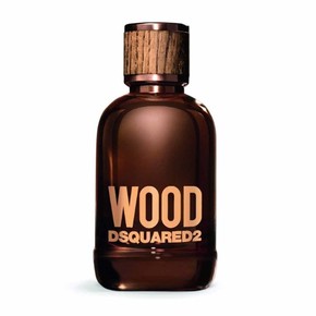 Dsquared2 Wood toaletna voda 50 ml za moške