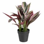 NEW Dekorativna rastlina 44 x 39 x 48 cm Roza Zelena PVC