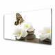 tulup.si Slika na akrilnem steklu Butterfly flower rastlin stones 100x50 cm