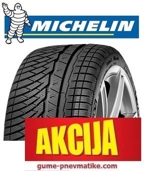 Michelin zimska pnevmatika 315/35R20 Pilot Alpin 110V