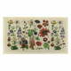Predpražnik 40x70 cm Botanicals - Artsy Doormats