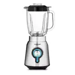 Zelmer ZSB4850 blender
