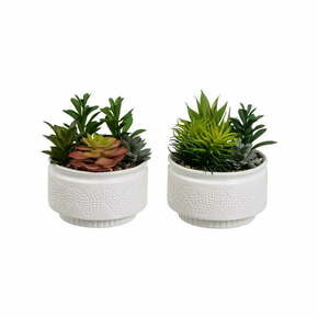 Umetne rastline v kompletu 2 ks (višina 19 cm) Cactus – Casa Selección