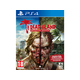 DEEP SILVER Dead Island: Definitive Collection (PS4)