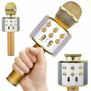 Verkgroup USB bluetooth karaoke brezžični mikrofon z zvočnikom FM radio