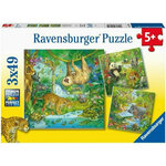 WEBHIDDENBRAND Ravensburger Puzzle Živali džungle 3x49 kosov