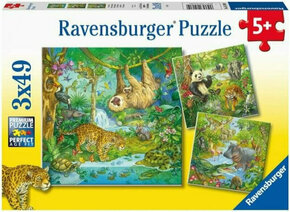 WEBHIDDENBRAND Ravensburger Puzzle Živali džungle 3x49 kosov
