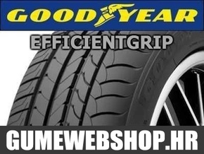 Goodyear letna pnevmatika EfficientGrip 255/40R18 95W
