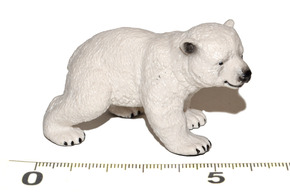 Slika mladiča polarnega medveda 6