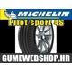 Michelin letna pnevmatika Pilot Sport 4, XL 245/35R20 95W/95Y