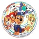 Paw Patrol Žoga nenapihnjena 22cm