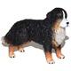 Bernski planšarski pes 8 cm