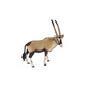 Slika antilope 11 cm