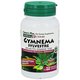 Herbal aktiv Gymnema Sylvestre - 60 veg. kapsul