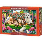 WEBHIDDENBRAND CASTORLAND Puzzle Hišni ljubljenčki v parku 1000 kosov