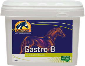 Cavalor Gastro Aid - 1