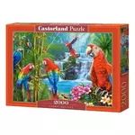 Castorland Puzzle Srečanje papagajev 2000 kosov